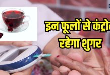 200 से ऊपर रहता है शुगर लेवल? इन 5 फूलों में से कोई भी 1 जरूर चबाएं, हमेशा रहेगा कंट्रोल