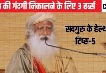 आंतों में कितनी भी गंदगी क्यों न भरी हो, सदगुरु के बताए इन 3 हर्ब्स से पेट का हो जाएगा पूर्ण शुद्धिकरण, बिना पैसों की दवा