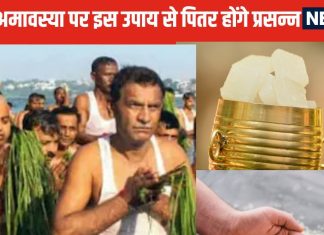 Sarva Pitru Amavasya 2024: आज सर्व पितृ अमावस्या पर करें इन 2 चीजों से 1 महाउपाय, पितर होंगे प्रसन्न, पितृदोष से मिलेगी मुक्ति