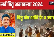 Sarva Pitru amavasya 2024: पितरों का विसर्जन आज, एक पौधा, एक दीपक, मंत्र उपाय से पितृ दोष होगा दूर! पितृ पक्ष खत्म