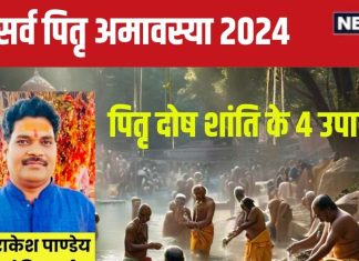 Sarva Pitru amavasya 2024: पितरों का विसर्जन आज, एक पौधा, एक दीपक, मंत्र उपाय से पितृ दोष होगा दूर! पितृ पक्ष खत्म