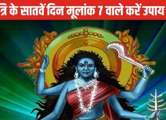 Shardiya Navratri 2024: मूलांक 7 वाले करें ये उपाय, मिलेगा मां कालरात्रि का आशीर्वाद, दुश्मन होंगे परास्त!