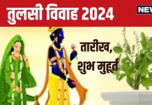 Tulsi Vivah 2024 Date: कब है तुलसी विवाह? बनेंगे 2 शुभ योग, जानें पूजा का शुभ मुहूर्त, शालिग्राम के साथ होगी ‘वृंदा’ की शादी
