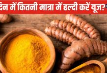एक दिन में कितनी मात्रा हल्दी का सेवन करना चाहिए? जान लें इस औषधीय मसाले के अधिक सेवन के फायदे और नुकसान
