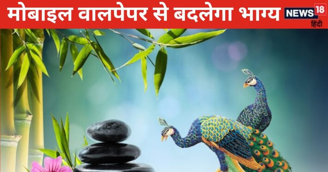 Wallpaper Vastu: जन्म तारीख के अनुसार लगाएं भाग्यशाली वालपेपर, हर काम में मिलेगी सफलता, भाग्य देने लगेगा साथ!