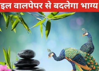 Wallpaper Vastu: जन्म तारीख के अनुसार लगाएं भाग्यशाली वालपेपर, हर काम में मिलेगी सफलता, भाग्य देने लगेगा साथ!