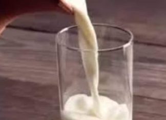 सुबह, शाम या फिर रात, दूध पीने का सही समय क्या है? जानें कैसे मिलें सबसे ज्यादा फायदे