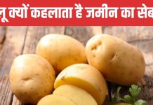 क्यों आलू कहलाता था गरीबों की सब्जी, कैसे यह सब्जी इंसानों की दुश्मन बनी?