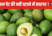 शरीर के लिए बेहद चमत्कारी है यह हरा फल, कोलेस्ट्रॉल का बजा देगा बाजा, तबला जैसा पेट कर देगा आधा !