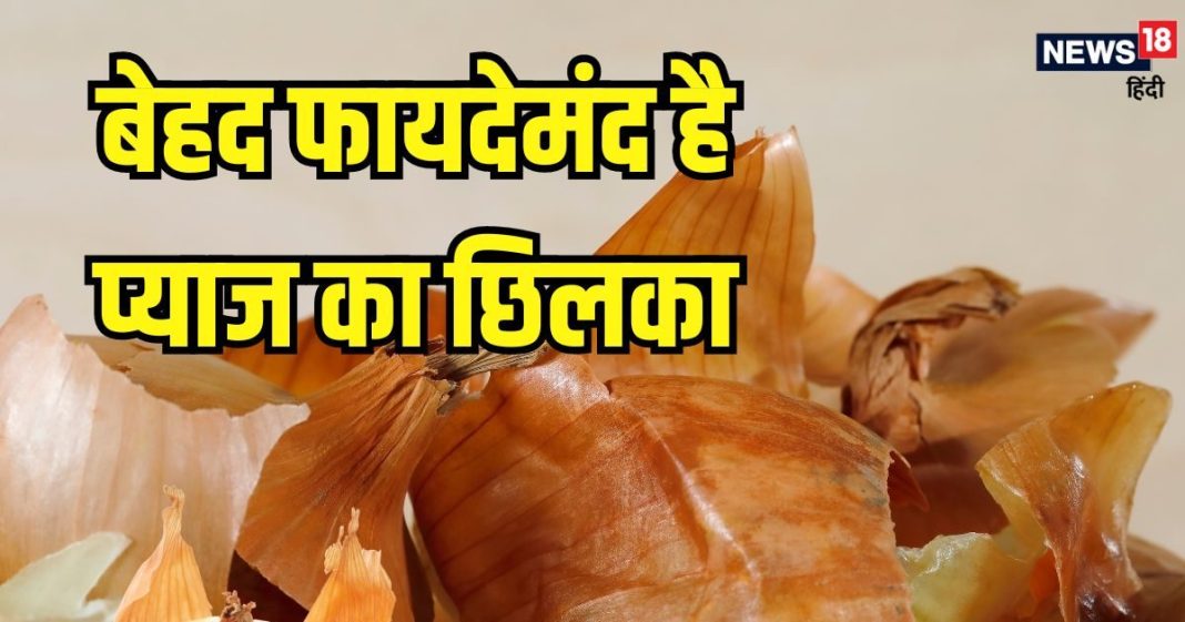 फेंक देते हैं प्याज का छिलका? इस तरह से करेंगे यूज तो मिलेंगे कई फायदे, वजन भी होगा कम
