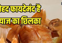 फेंक देते हैं प्याज का छिलका? इस तरह से करेंगे यूज तो मिलेंगे कई फायदे, वजन भी होगा कम