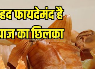 फेंक देते हैं प्याज का छिलका? इस तरह से करेंगे यूज तो मिलेंगे कई फायदे, वजन भी होगा कम