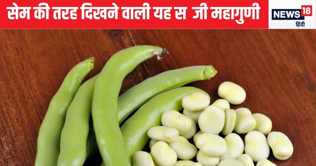 सदियों पुरानी है यह सब्जी, आज भी खाएंगे तो मिलेंगे 5 जबर्दस्त फायदे, हड्डियों को चट्टान और बॉडी को देगा नया शेप