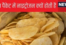 Explainer: जो चिप्स आप खाते हैं उसके पैकेट में भरी होती है नाइट्रोजन, क्यों होता है ऐसा, इससे नुकसान तो नहीं