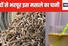 सुबह खाली पेट पिएं इस मसाले का पानी, मोटापा घटाए, शरीर के कोने-कोने में ब्लड सर्कुलेशन करे तेज, एनर्जी भी दे भरपूर