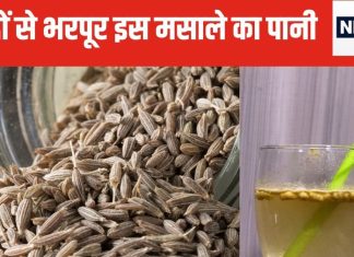 सुबह खाली पेट पिएं इस मसाले का पानी, मोटापा घटाए, शरीर के कोने-कोने में ब्लड सर्कुलेशन करे तेज, एनर्जी भी दे भरपूर
