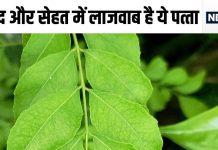 ये छोटा हरा पत्ता सब्जी में डालें या कच्चा खा लें, 5 बीमारियों को जड़ से कर देगा खत्म