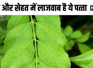 ये छोटा हरा पत्ता सब्जी में डालें या कच्चा खा लें, 5 बीमारियों को जड़ से कर देगा खत्म