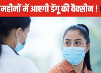 भारत में कब तक आएगी डेंगू की वैक्सीन? ICMR ने दिया बड़ा अपडेट, जानें किस फेज में चल रहा ट्रायल