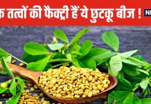 यह छोटा सा दाना औषधीय गुणों का खजाना, रोज खाएंगे तो आस-पास भी नहीं आएंगी बीमारियां, सेहत होगी टनाटन