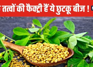 यह छोटा सा दाना औषधीय गुणों का खजाना, रोज खाएंगे तो आस-पास भी नहीं आएंगी बीमारियां, सेहत होगी टनाटन