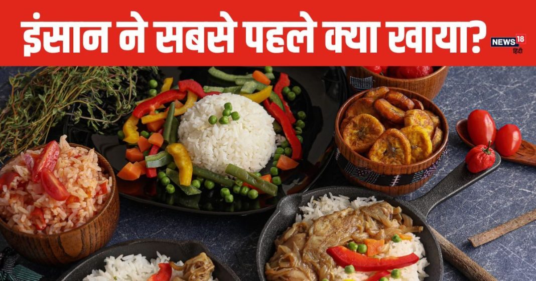 World Food Day: कहीं ततैये के पकोड़े तो कहीं खाई जाती है मछली की आंख, जानें कब शुरू हुई कुकिंग?