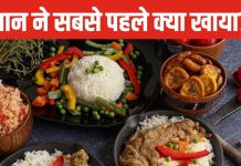 World Food Day: कहीं ततैये के पकोड़े तो कहीं खाई जाती है मछली की आंख, जानें कब शुरू हुई कुकिंग?