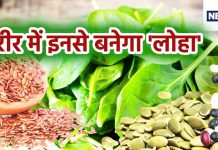 33 फीसदी लोग हैं आयरन के कमी के शिकार, सिर्फ 5 फूड से बढ़ सकता है आपके शरीर का लोहा, ये है लिस्ट