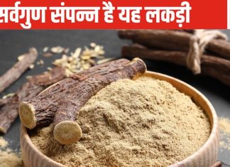 इस सूखी लकड़ी में 250 से ज्यादा औषधीय रसायन, 7 फायदे तो चकित कर देंगे आपको, मानव शरीर के लिए वरदान से कम नहीं