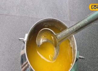 what different of cow and buffao milk ghee benefits for health children – Bharat.one हिंदी