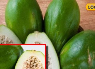 рддреНрд╡рдЪрд╛ рдФрд░ рд╣реГрджрдп рд░реЛрдЧреЛрдВ рдХреЗ рд▓рд┐рдП рд░рд╛рдордмрд╛рдг рд╣реИ рдпреЗ рдлрд▓, рдХрд┐рдбрдиреА-рд▓рд┐рд╡рд░ рдХреЛ рд░рдЦреЗ рд╕реНрд╡рд╕реНрде, рдорд╣рд┐рд▓рд╛рдУрдВ рдХреЗ рд▓рд┐рдП рднреА рдлрд╛рдпрджреЗрдордВрдж