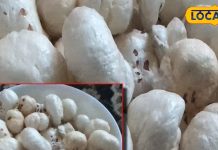 अंग-अंग में ताकत फूंक देगी ये चीज, हार्ट प्रॉब्लम भी कर सकती है दूर