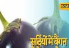 brinjal benefits for health strengthen bones and skin glow too in winter Makes – Bharat.one हिंदी