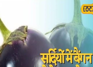 brinjal benefits for health strengthen bones and skin glow too in winter Makes – Bharat.one हिंदी