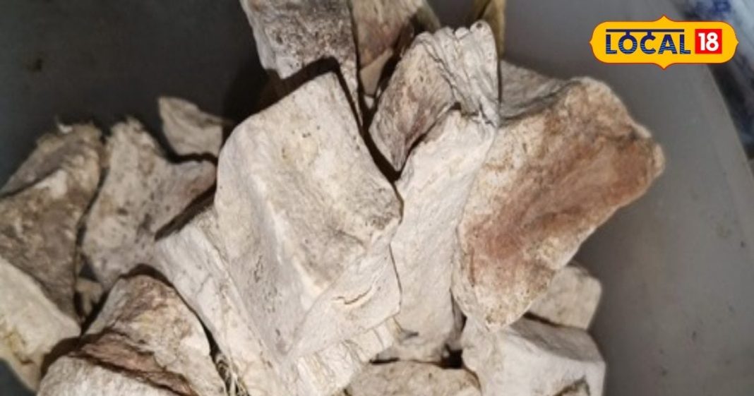 चमत्कार से कम नहीं है ये औषधि, खून में जमा गंदगी हो जाएगी साफ, इन बीमारियों…