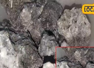 Kalonji Namak benefits for dirt in body and Immunity increases – Bharat.one हिंदी