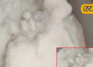 तेल ही नहीं, इसका नमक भी है चमत्कारी, भयंकर से भयंकर शुगर हो जाएगी खत्म