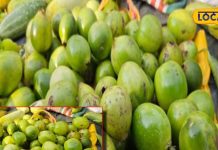 how to make Pirar vegetable benefits for health cure pain – Bharat.one हिंदी