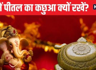 घर में पीतल का कछुआ क्यों रखना चाहिए? वास्तु शास्त्र में क्या है इसका महत्व, जानें किस जगह रखना होगा शुभ