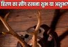 क्या घर में हिरण के सींग को रख सकते हैं? जानिए वास्तु शास्त्र के अनुसार ऐसा करना शुभ है या अशुभ