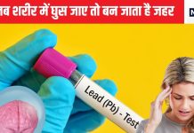 दिमाग को अपंग बना सकता है शीशे का एक्सपोजर, ऐसी बीमारी होगी कि रूह कांप जाएगा, कैसे करे जीवन से लेड को अलग