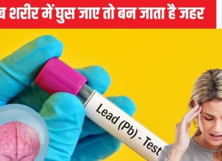 दिमाग को अपंग बना सकता है शीशे का एक्सपोजर, ऐसी बीमारी होगी कि रूह कांप जाएगा, कैसे करे जीवन से लेड को अलग