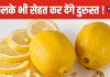 नींबू ही नहीं, इसका छिलका भी बेहद कमाल ! ओरल हेल्थ कर देगा दुरुस्त, कई प्रॉब्लम्स से दिलाएगा छुटकारा