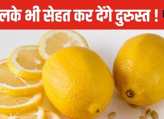 नींबू ही नहीं, इसका छिलका भी बेहद कमाल ! ओरल हेल्थ कर देगा दुरुस्त, कई प्रॉब्लम्स से दिलाएगा छुटकारा