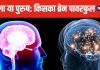 लड़कियों का दिमाग ज्यादा तेज होता है या लड़कों का? क्या है इस मुश्किल सवाल का जवाब, तुरंत जान लीजिए