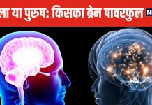 लड़कियों का दिमाग ज्यादा तेज होता है या लड़कों का? क्या है इस मुश्किल सवाल का जवाब, तुरंत जान लीजिए