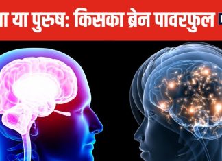 लड़कियों का दिमाग ज्यादा तेज होता है या लड़कों का? क्या है इस मुश्किल सवाल का जवाब, तुरंत जान लीजिए