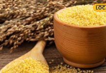 millet health benefits diabetes weight loss nutrition alternative sa