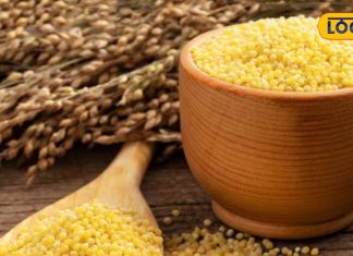 millet health benefits diabetes weight loss nutrition alternative sa