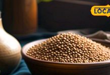 डाइट में शामिल करें ये दाना, बढ़ते वजन और शुगर से मिलेगी मुक्ति, जानें फायदे